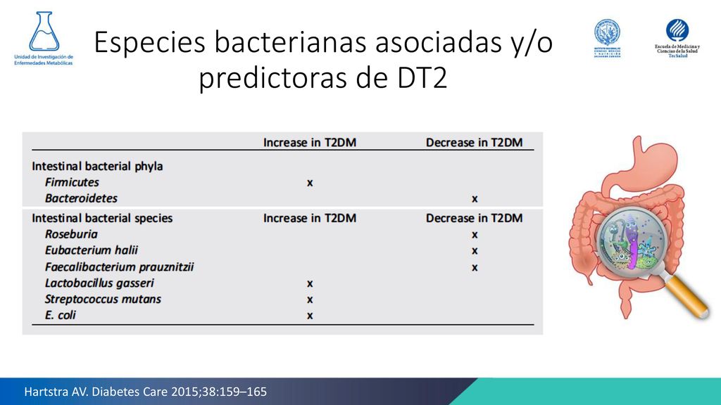 tipo de diabetes arap1 tipo de diabetes arap1
